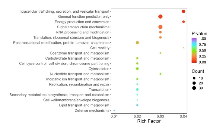KOG enrichment analysis bubble plot visualization